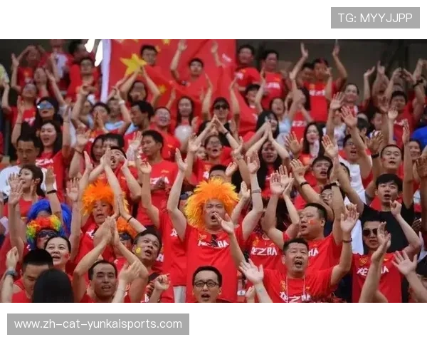 中超球迷进场世界杯体育论坛